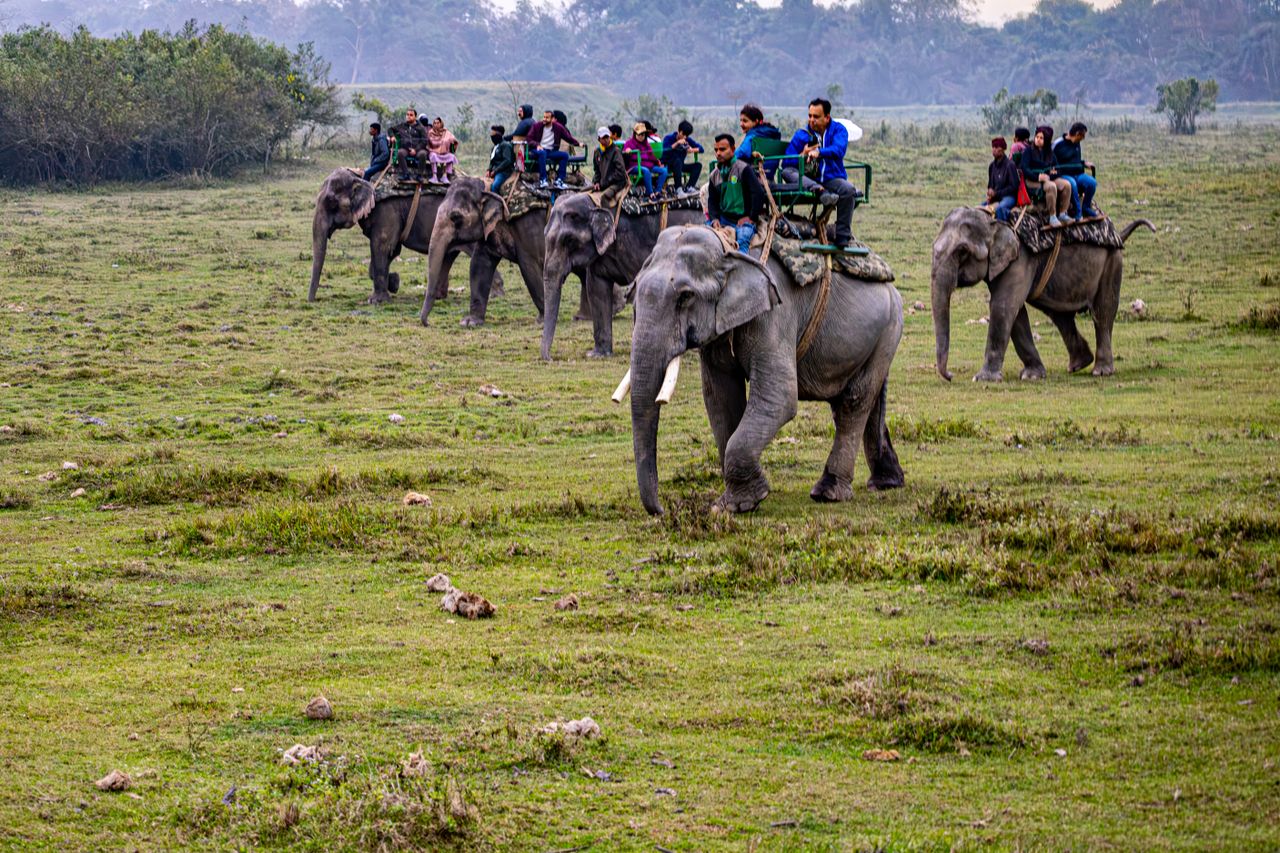 Safari vehicles at the entrance of Arusha National Park in Tanzania.